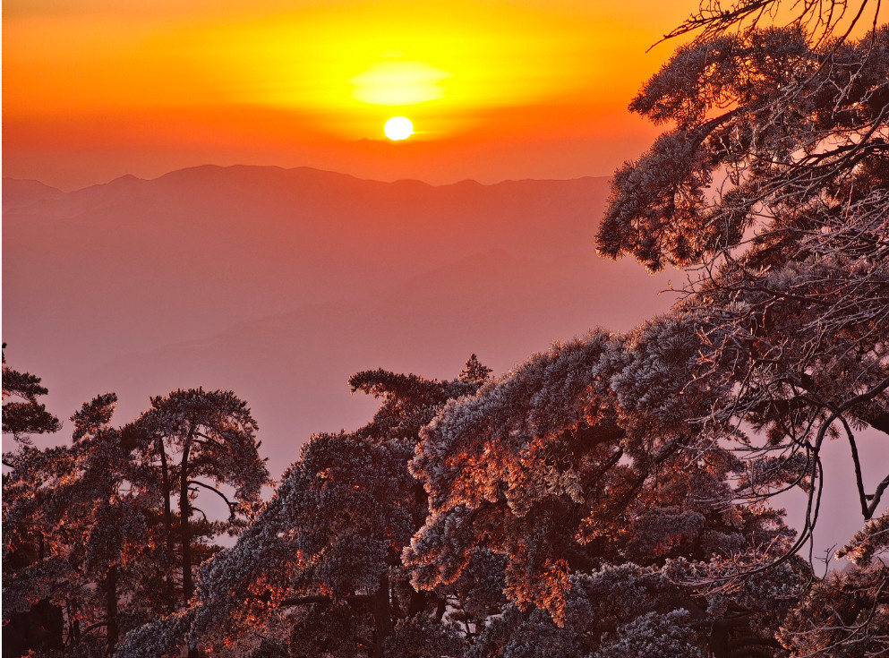 黃山雪後初霽 日出霧凇美不勝收