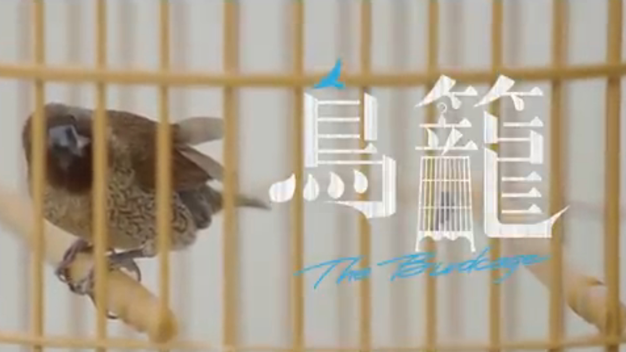 有片丨【黎智英案判決】網(wǎng)絡(luò)短劇揭「鳥籠」內(nèi)的編採自主