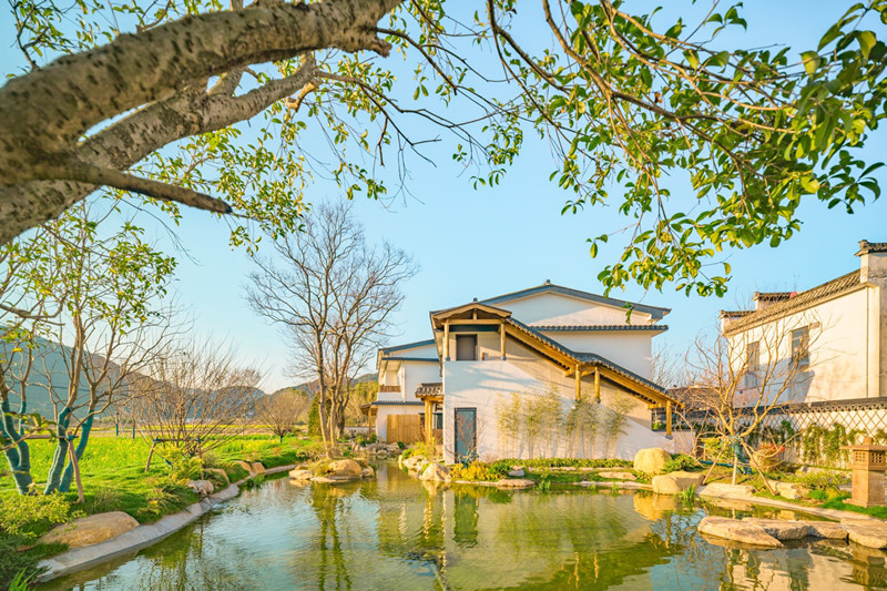 皖黟縣碧陽鎮(zhèn)：農(nóng)場(chǎng)裡「長(zhǎng)出」悠然旅居