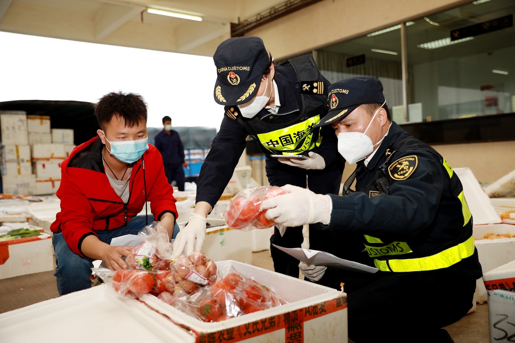 今年前11月供應(yīng)258萬噸  廣東省供港澳農(nóng)產(chǎn)品數(shù)量全國第一