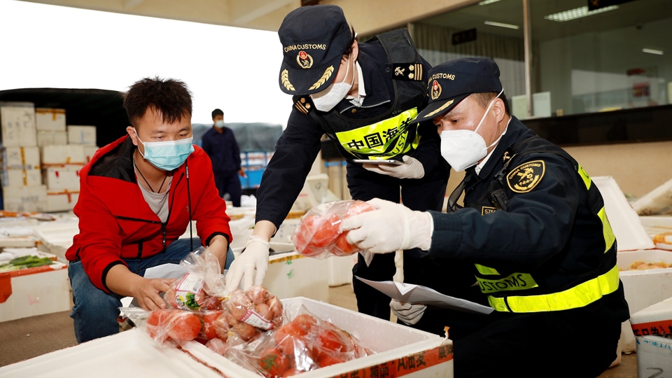 今年前11月供應(yīng)258萬噸  廣東省供港澳農(nóng)產(chǎn)品數(shù)量全國第一