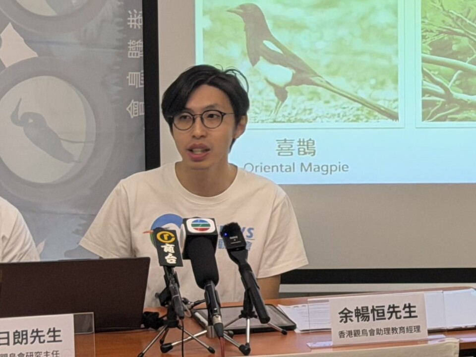 十年雀麻普查：逾二千人次參與　成功建立麻雀數(shù)目基線