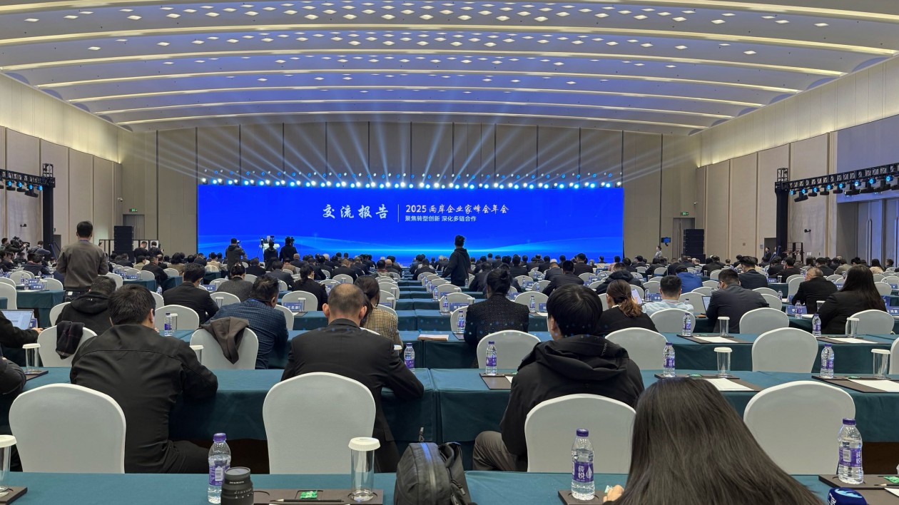 錨定「十五五」機(jī)遇 兩岸企業(yè)家南京攜手繪就融合新藍(lán)圖