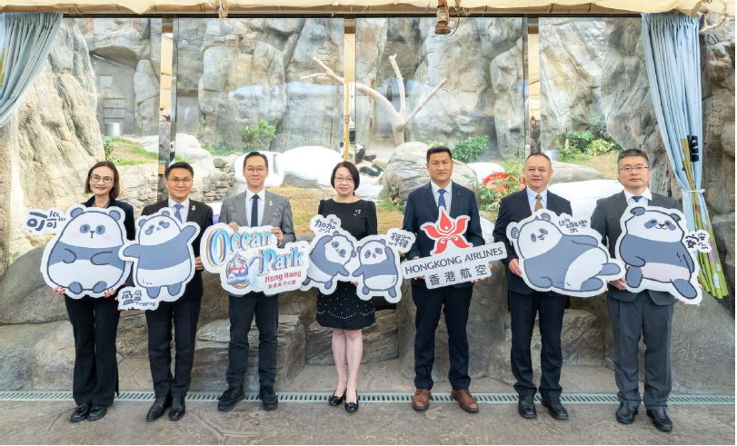 香港航空與海洋公園聯(lián)手推熊貓主題客機(jī) 料明年上半年投入服務(wù)