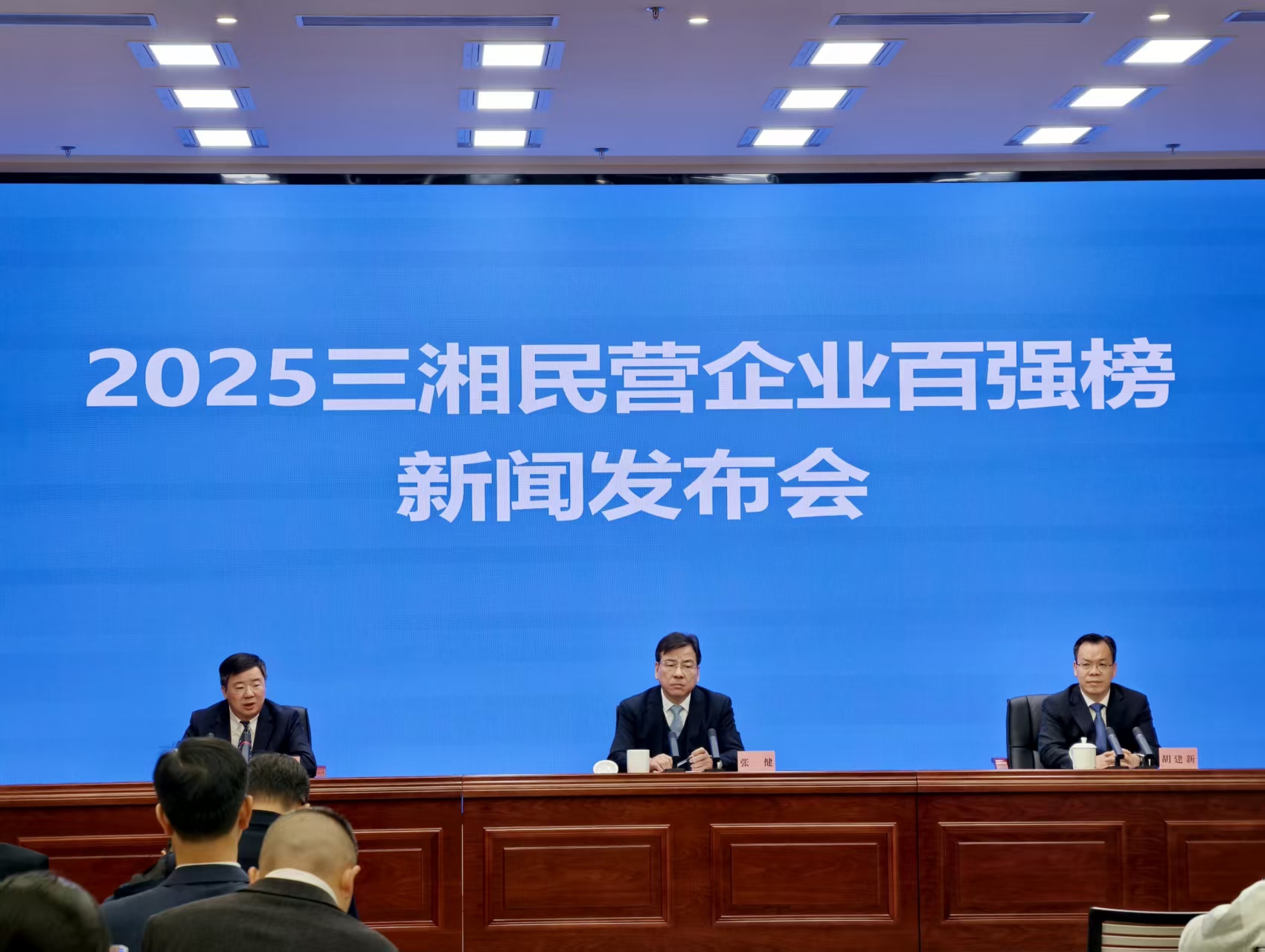 2025三湘民營(yíng)企業(yè)百?gòu)?qiáng)榜發(fā)布：營(yíng)收破萬(wàn)億穩(wěn)增長(zhǎng)  製造創(chuàng)新雙輪驅(qū)動(dòng)顯活力