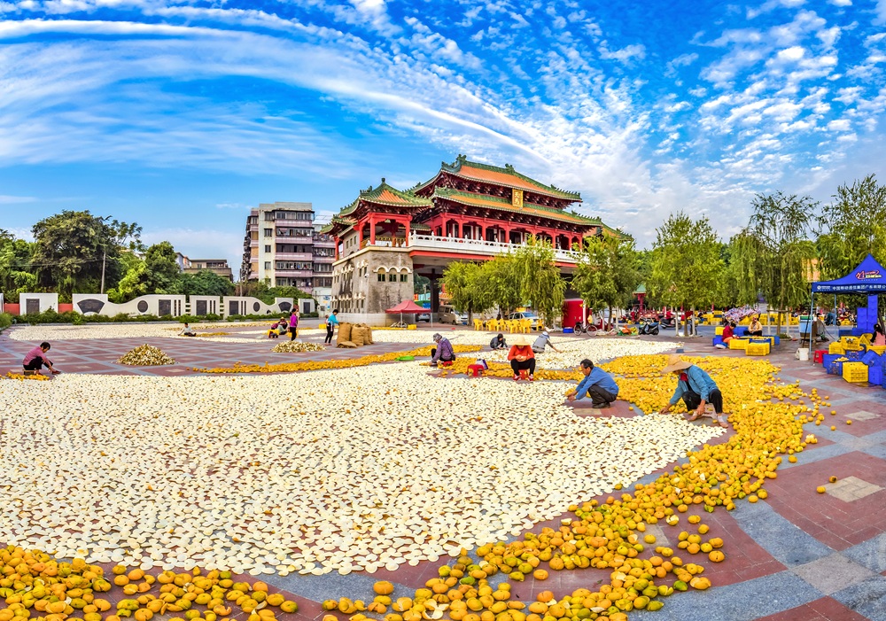 從嚴(yán)從快 江門開展新會(huì)陳皮專項(xiàng)整治行動(dòng) 專項(xiàng)保護(hù)行動(dòng)為期一年