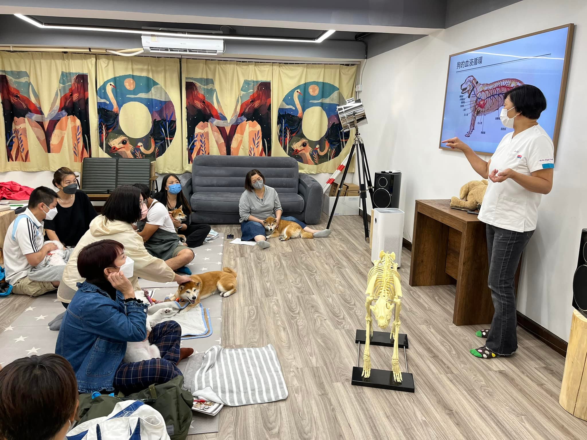 新都會(huì)廣場(chǎng)_人寵身心靈工作坊_寵物按摩教學(xué) (4).jpg