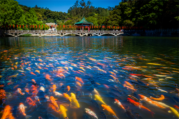 2 - 復(fù)件(6).jpg