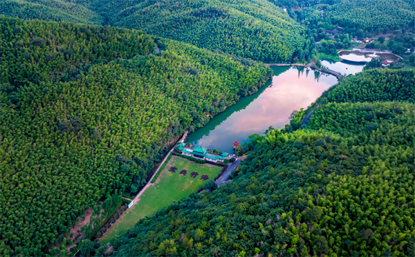 9、宜興竹?！A東第一竹海 .jpg