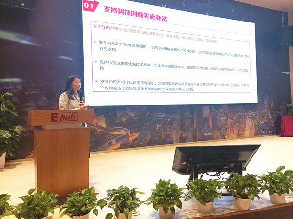 圖片2 工匠創(chuàng)新創(chuàng)始人 廖芳分享《粵港澳大灣區(qū)青年創(chuàng)業(yè)資助計(jì)劃政策實(shí)踐分享》.jpg