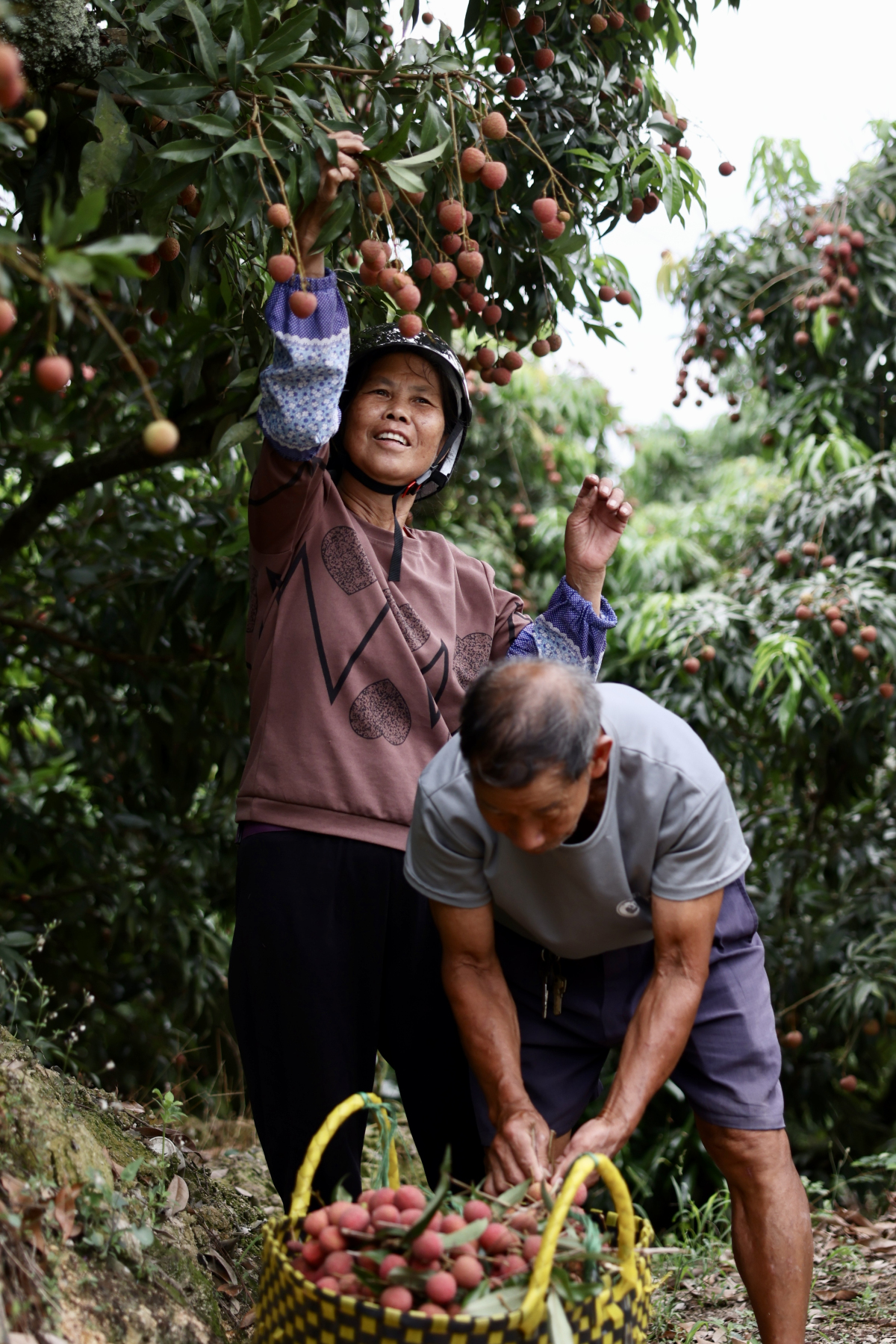 3、豐收的喜悅  陸敏 攝.jpg