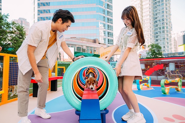 盛夏PETS PARK 遊樂(lè)園_彩虹隧道 (3).jpg