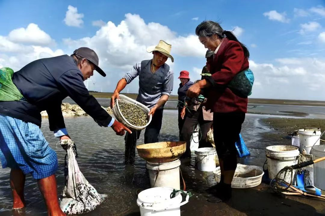 東海鎮(zhèn)擁有11.9公里海岸線、2萬多畝灘涂，漁業(yè)資源得天獨厚。.jpg