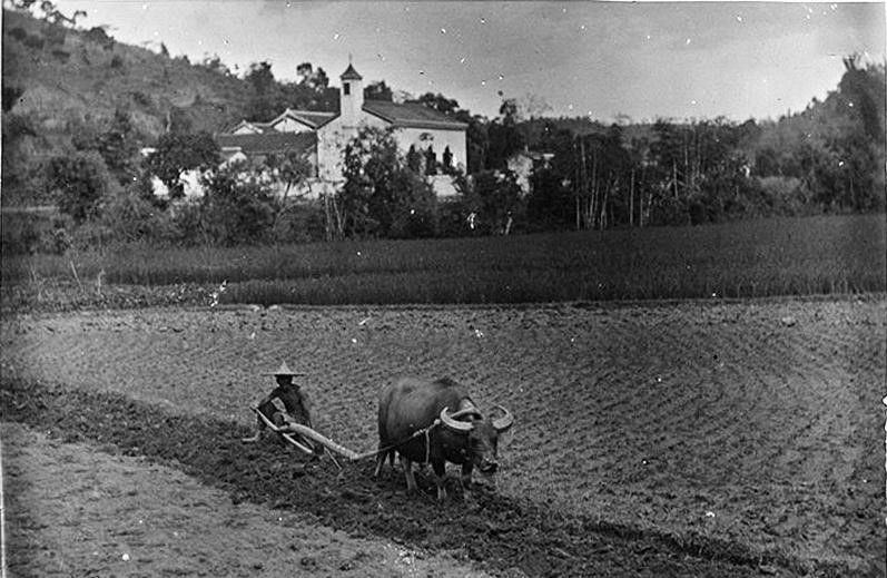 耕田 樟坑徑 巴色會檔案館（主講嘉賓供圖）.jpg