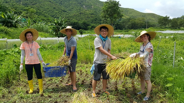 4_Fall Harvest Market 一日農(nóng)夫農(nóng)耕體驗(yàn) (2).jpg