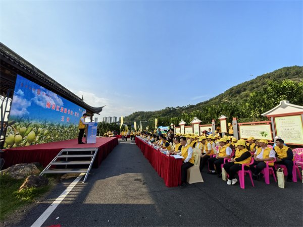 3 - 復(fù)件(12).jpg