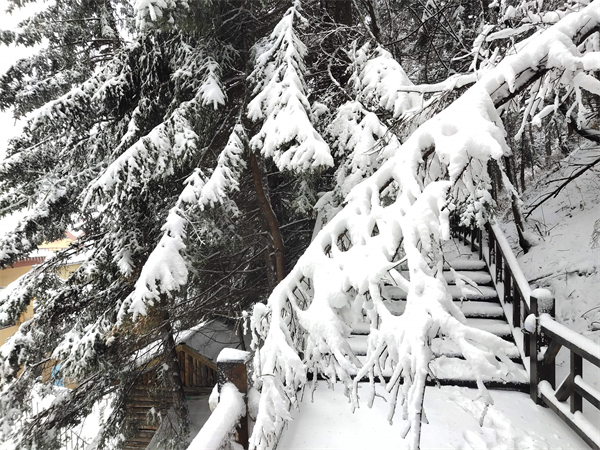 圖2 - 復(fù)件(1).jpg