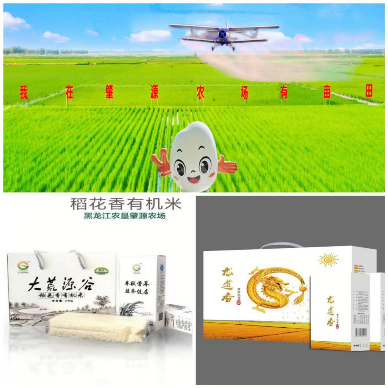 2 - 復(fù)件(2).jpg