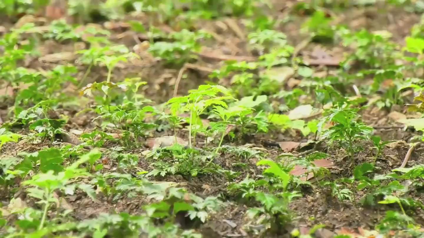 2 - 復(fù)件(1).jpg