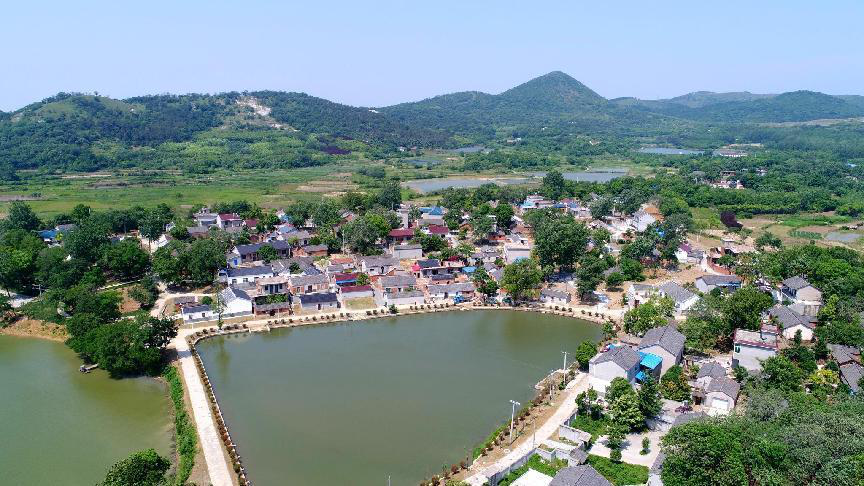 烔煬鎮(zhèn)鄉(xiāng)村風(fēng)景如畫 (1).png