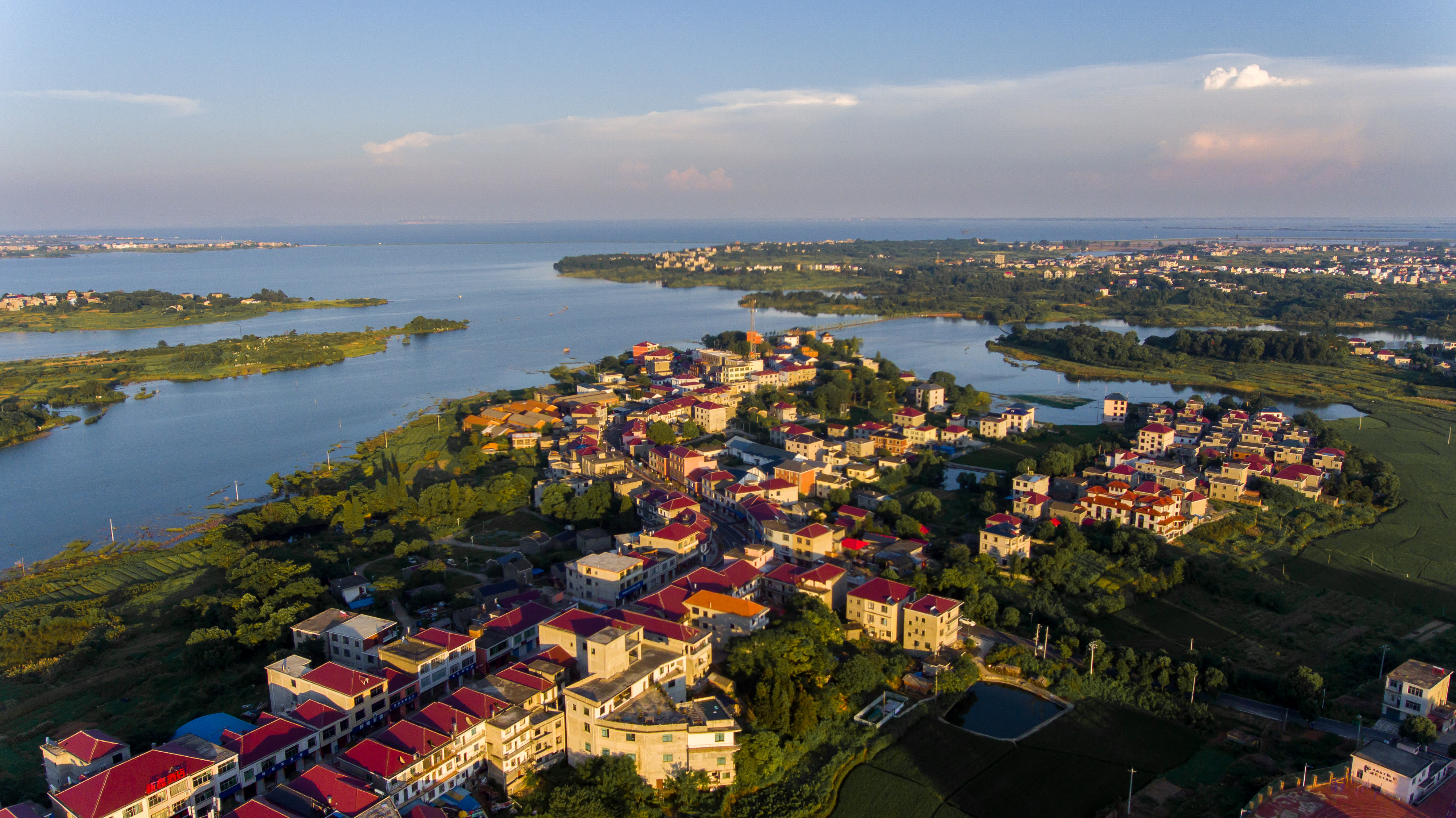 圖五 共青城市綠樹掩映生機勃勃.jpg