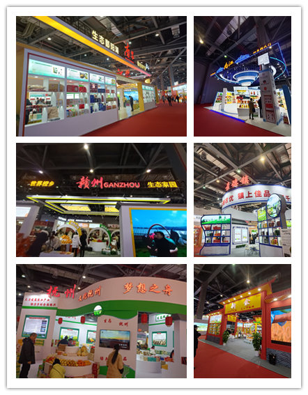 圖四 南昌、九江、贛州、撫州、九江、景德鎮(zhèn)等市展館.jpg