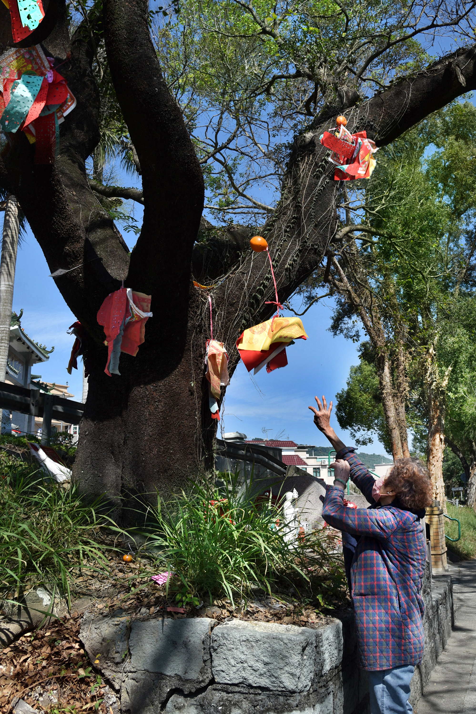 3 陳伯母高拋寶牒得手.JPG