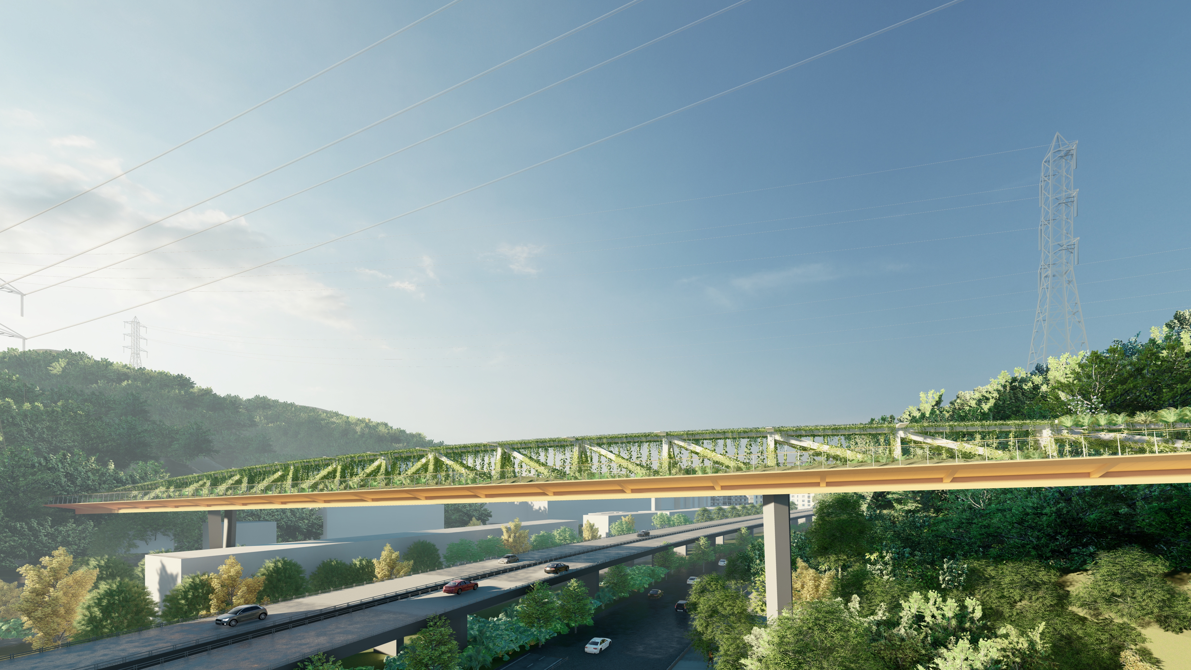 鯤鵬徑二號(hào)橋 hcs 成行工作室.jpg