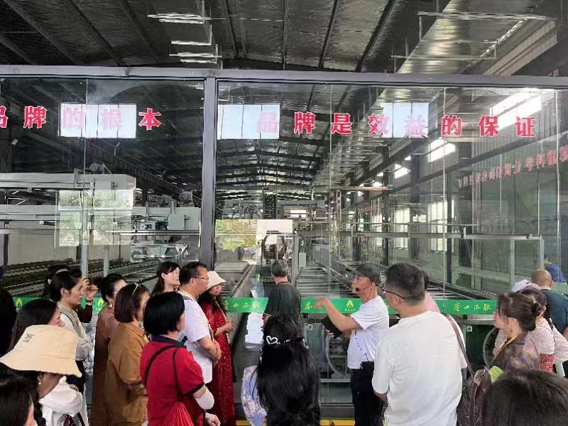 圖三  游客參觀東林雨露智造茶工廠.jpg
