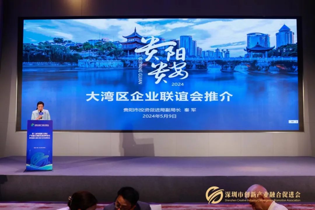 2、貴陽市投資促進局副局長秦軍.jpeg