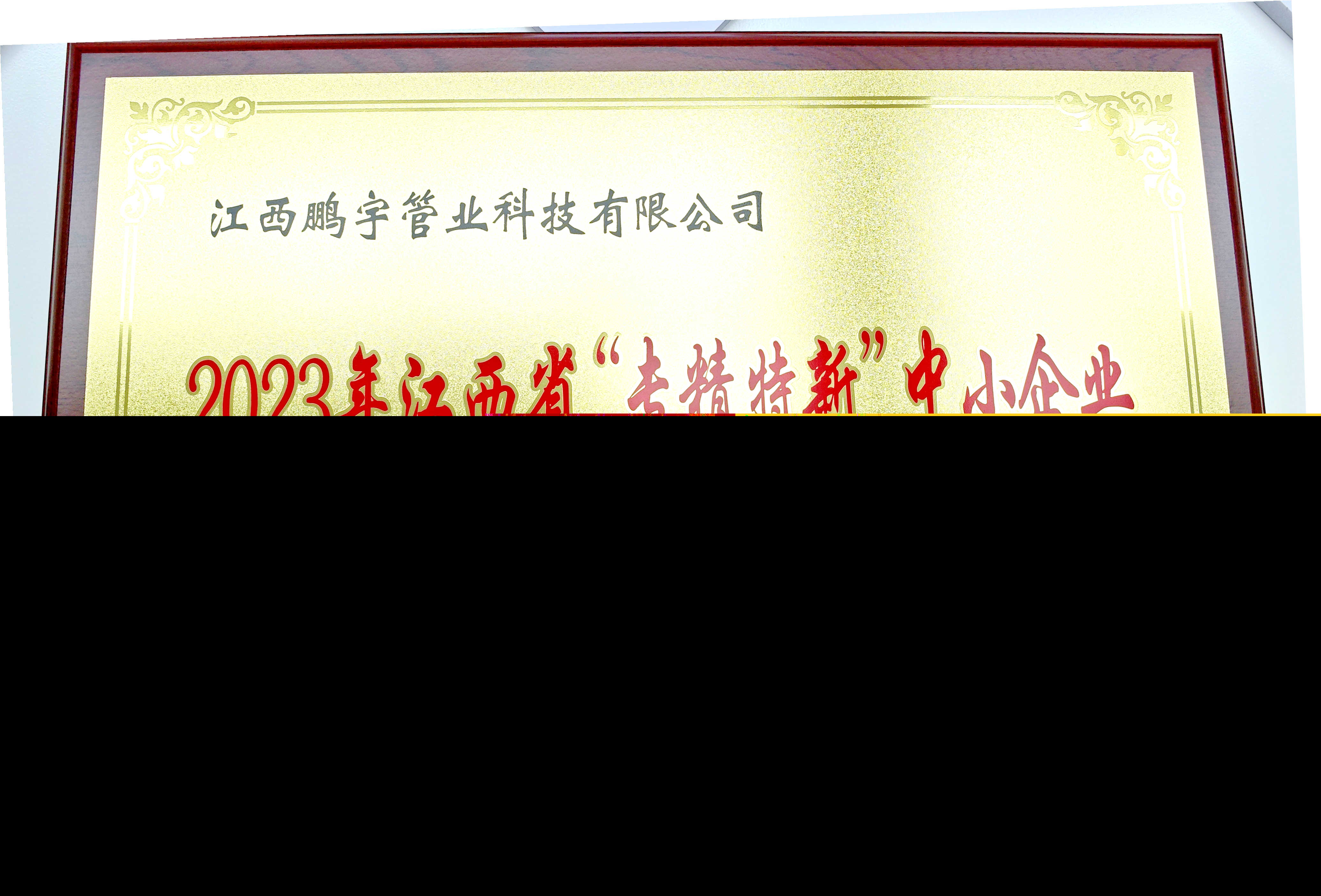 圖四 2023年鵬宇管業(yè)獲得江西省”專(zhuān)精特新“中小企業(yè).jpg