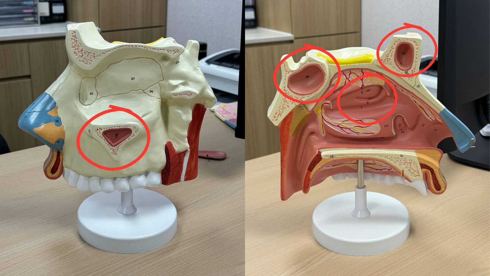 未命名設(shè)計 (13).jpg