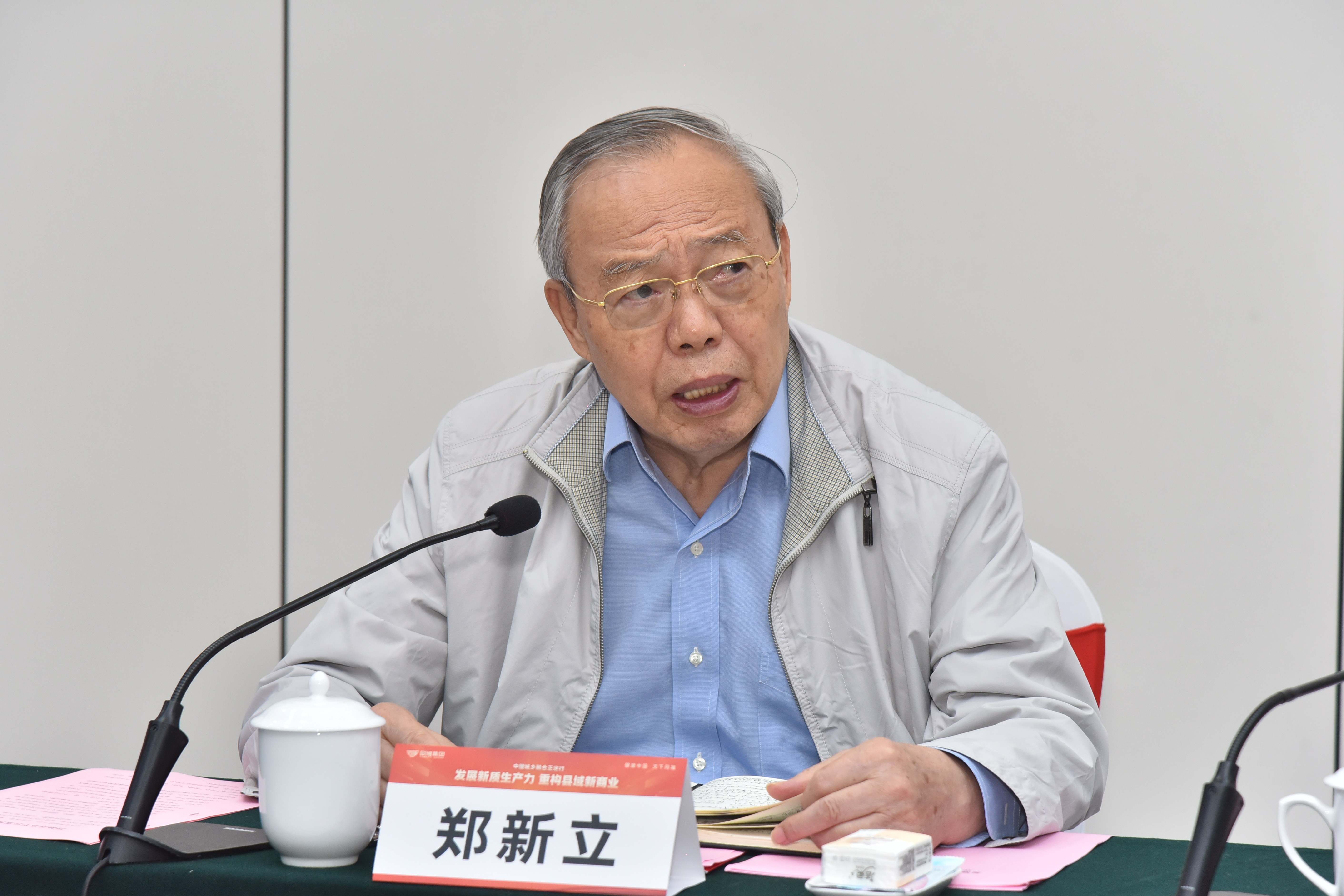 圖片5：?中央政策研究室原副主任、中國(guó)國(guó)際經(jīng)濟(jì)交流中心副理事長(zhǎng)鄭新立在座談會(huì)上致辭.jpg