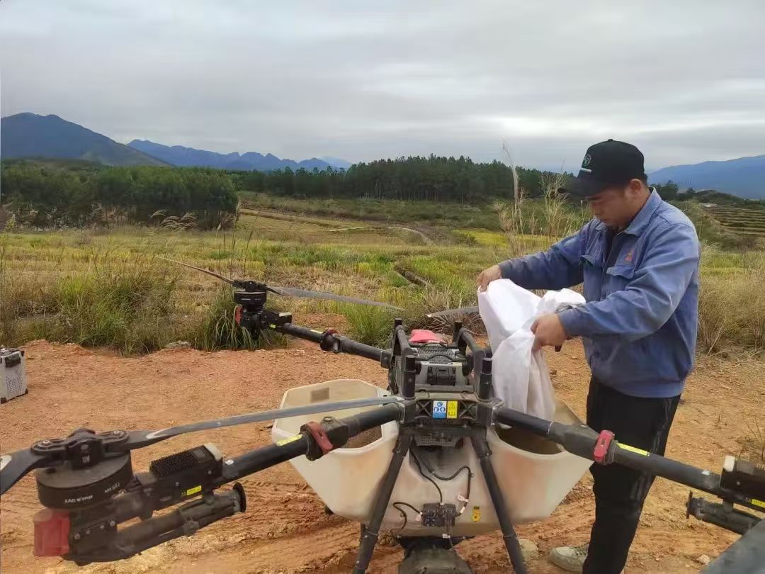 4曲江樟市鎮(zhèn)東約村連片水稻田，技術(shù)人員用無(wú)人機(jī)將紫云英種子均勻播撒在稻田里.jpg