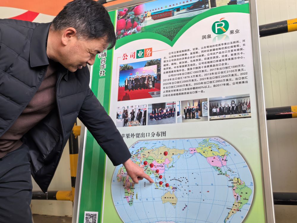 潤泉現(xiàn)代農(nóng)業(yè)科技開發(fā)公司副總經(jīng)理趙存向媒體記者介紹蘋果出口分佈.jpg