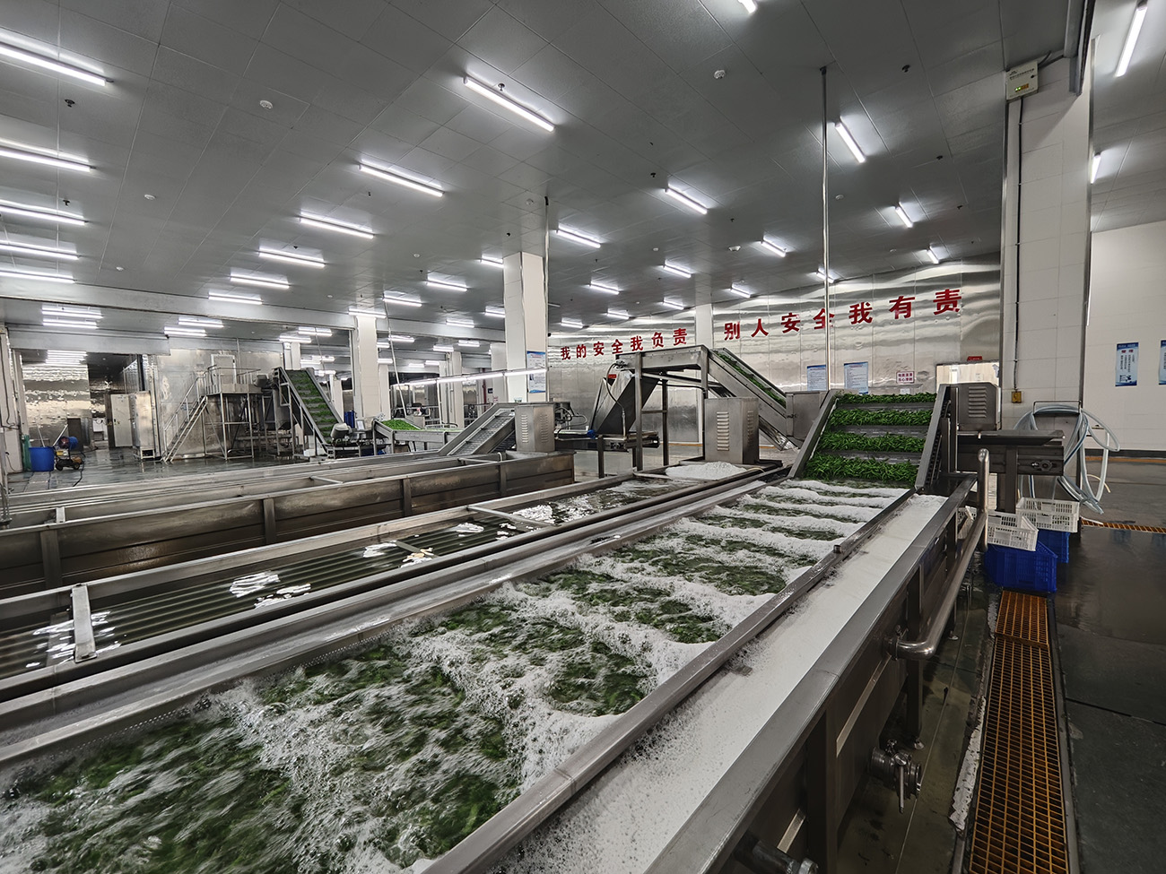 圖3：如皋市中皋農(nóng)產(chǎn)品科技發(fā)展有限公司已建成2條速凍蔬菜和1條速凍玉米全自動(dòng)生產(chǎn)線。.jpg