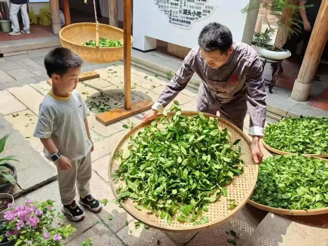感德茶師傅教小朋友曬青工藝.jpg
