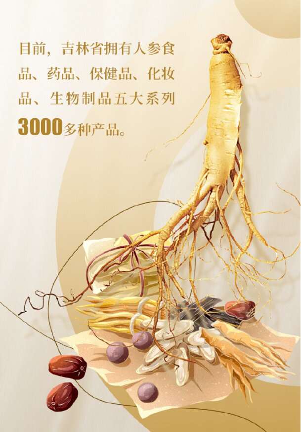 圖說二：吉林的人參產業(yè)正走向新的發(fā)展階段.JPG