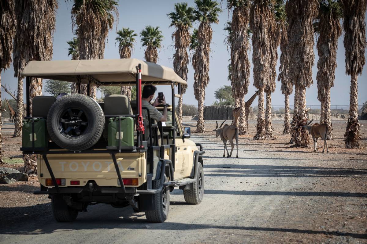 沙迦野生動(dòng)物園（Sharjah Safari）.jpg
