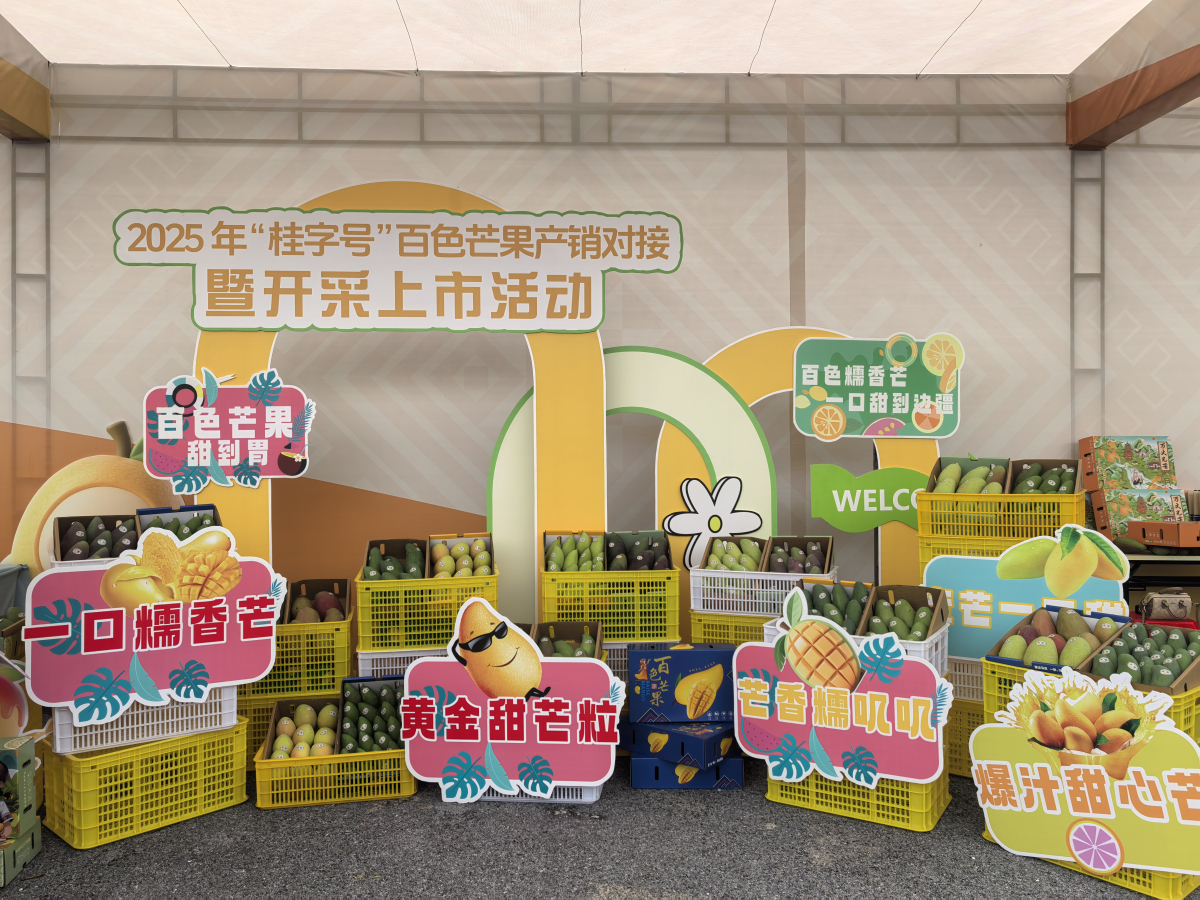 4、活動(dòng)現(xiàn)場展示的芒果品種.jpg