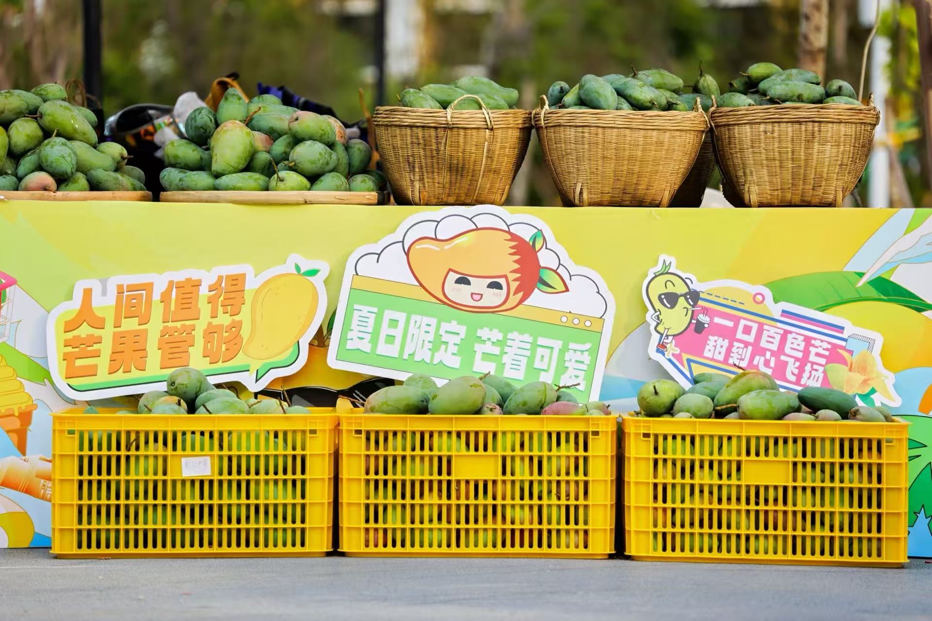 2、百色芒果（方鹽 攝）.jpg