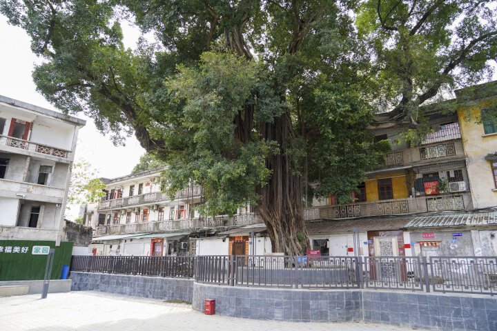 3、國民革命軍東征 周恩來演講舊址2.jpg