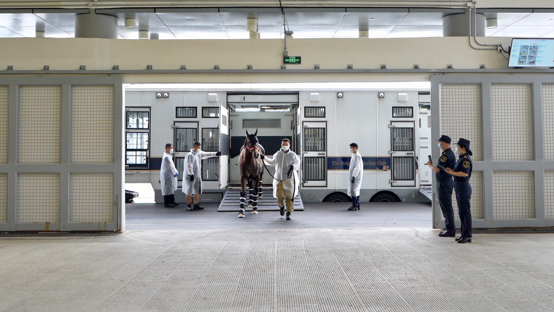 圖為:香港賽馬會(huì)運(yùn)送粵港跨境馬匹的車輛??亢jP(guān)監(jiān)管查驗(yàn)平臺(tái),廣州海關(guān)所屬?gòu)幕jP(guān)關(guān)員對(duì)進(jìn)境馬匹進(jìn)行監(jiān)管(韓建全 攝).jpg