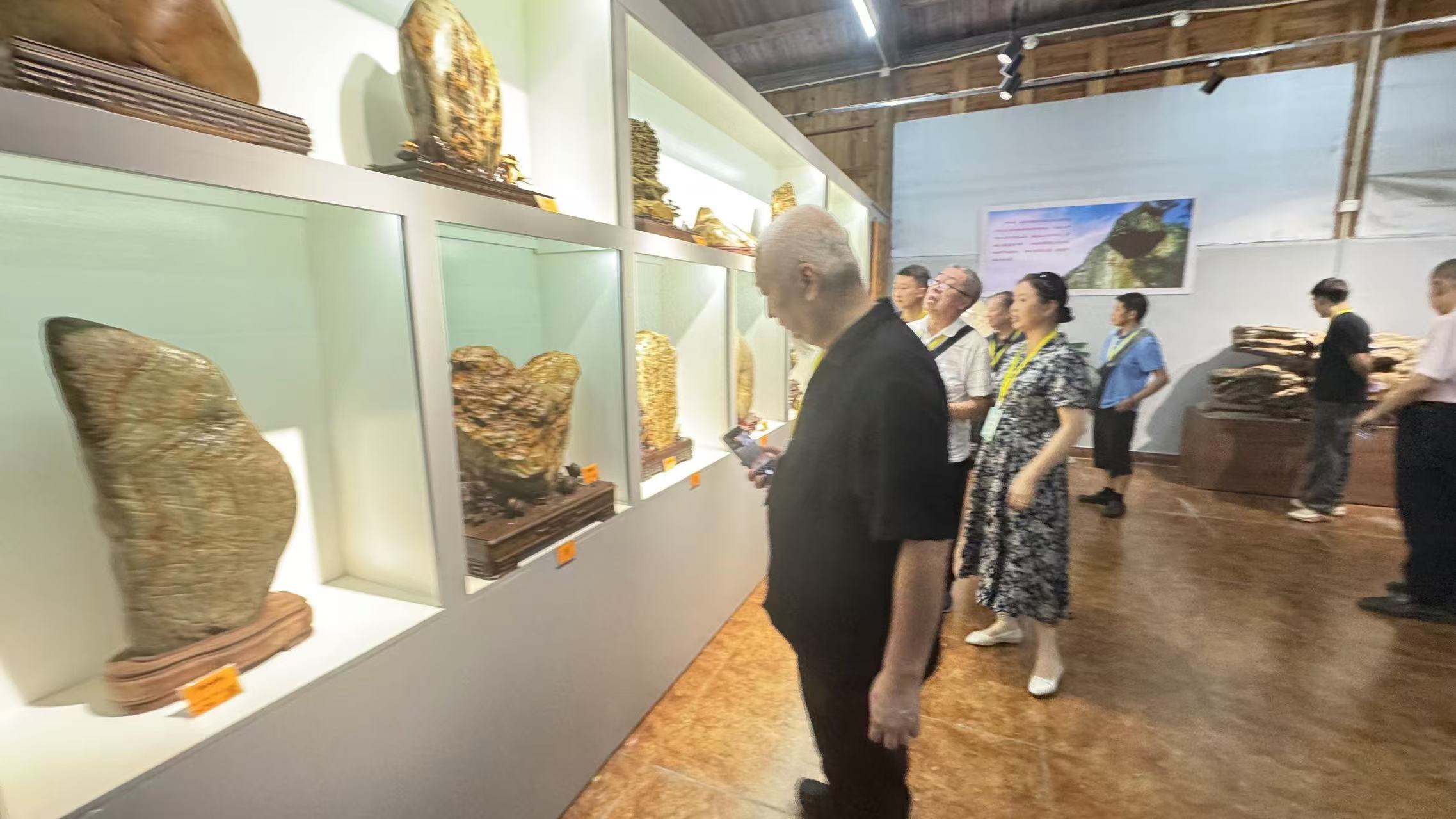 圖四:九地市奇石聯(lián)展.jpg