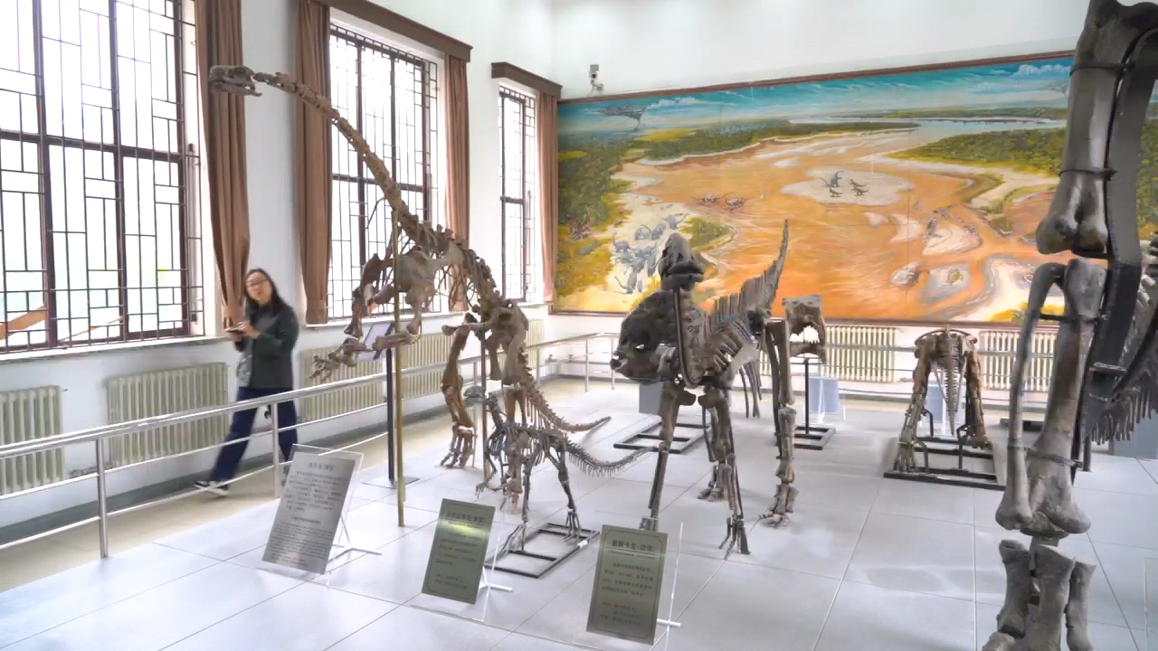 圖說一：鎮(zhèn)館之寶——「嘉蔭卡龍」的完整骨架 郭家源 攝.jpg