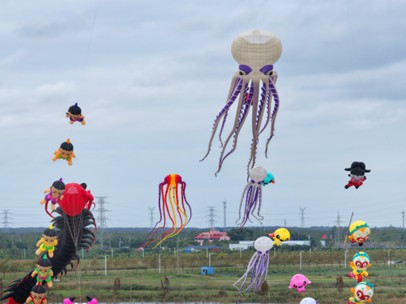 圖1：全國風箏邀請賽.jpg