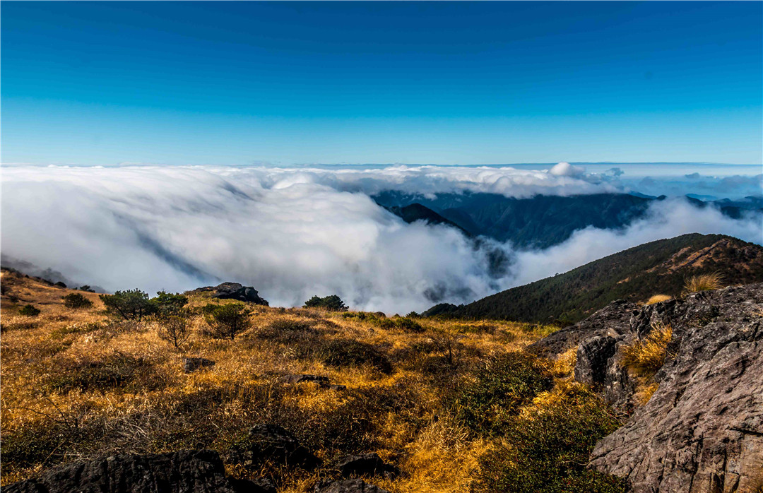 圖3：武夷山云海(1).jpg