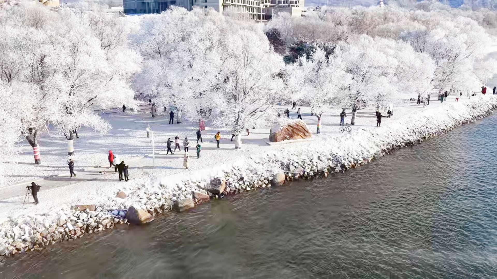 圖說(shuō)二：吉林市松花江兩岸「玉樹(shù)銀花」奇觀 江城日?qǐng)?bào) 供圖.jpg